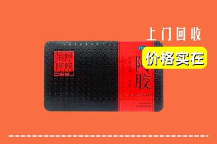 锡林郭勒东乌珠穆沁旗回收阿胶