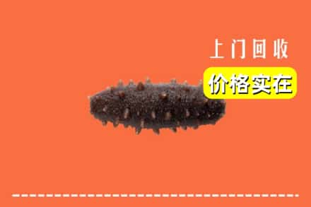 锡林郭勒东乌珠穆沁旗回收海参